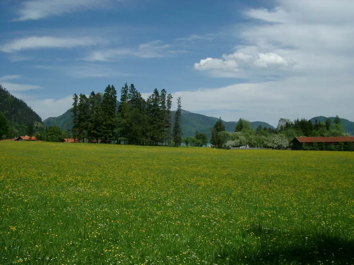 Wallerei Walchensee, Walchensee: View of the village of Walchensee on the lakeshore